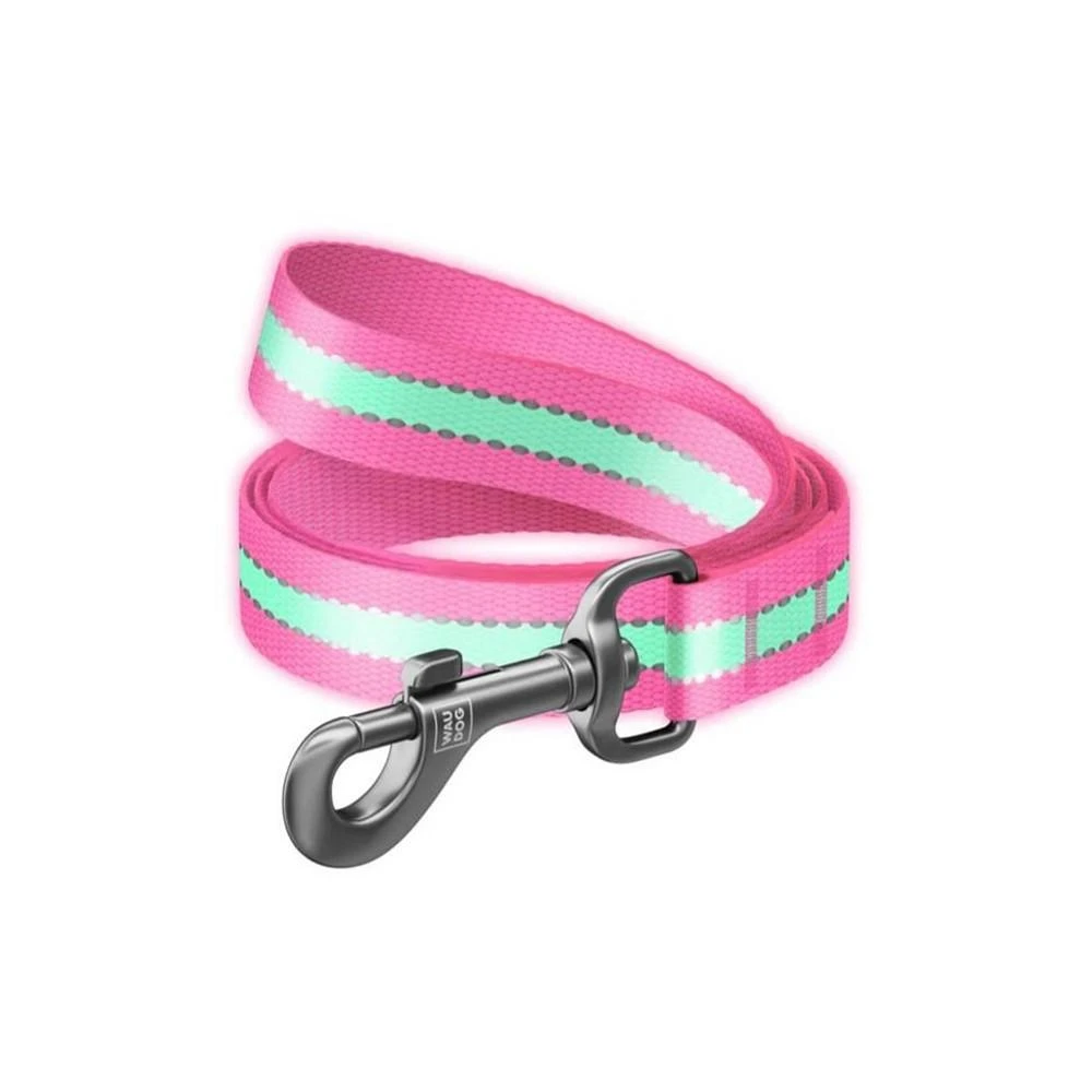 商品Waudog|Nylon dog leash, glow in the dark/reflective,价格¥186,第2张图片详细描述