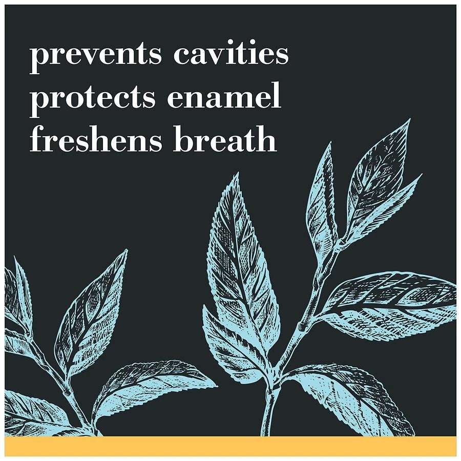 Toothpaste, Natural Flavor, Charcoal with Fluoride Toothpaste Mountain Mint 商品