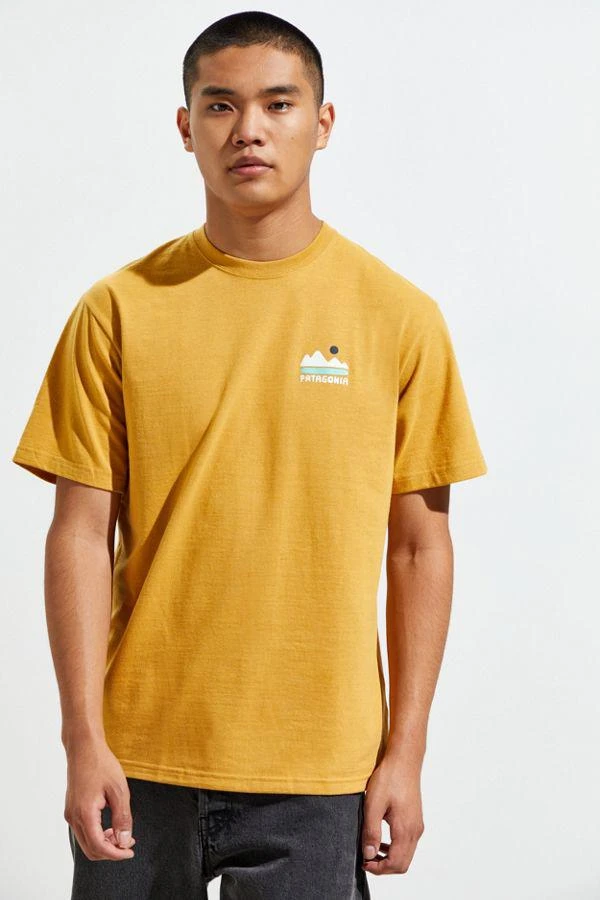 商品Patagonia|Patagonia Fed Up With Melt Down Responsibili-Tee® Tee T恤,价格¥152,第2张图片详细描述