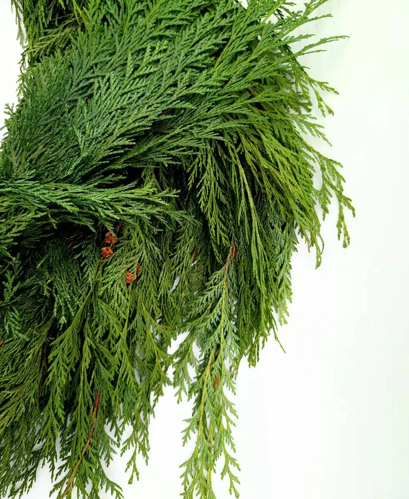 商品International Christmas Innovation|Fresh Premier Cedar Garland, 25',价格¥546,第3张图片详细描述