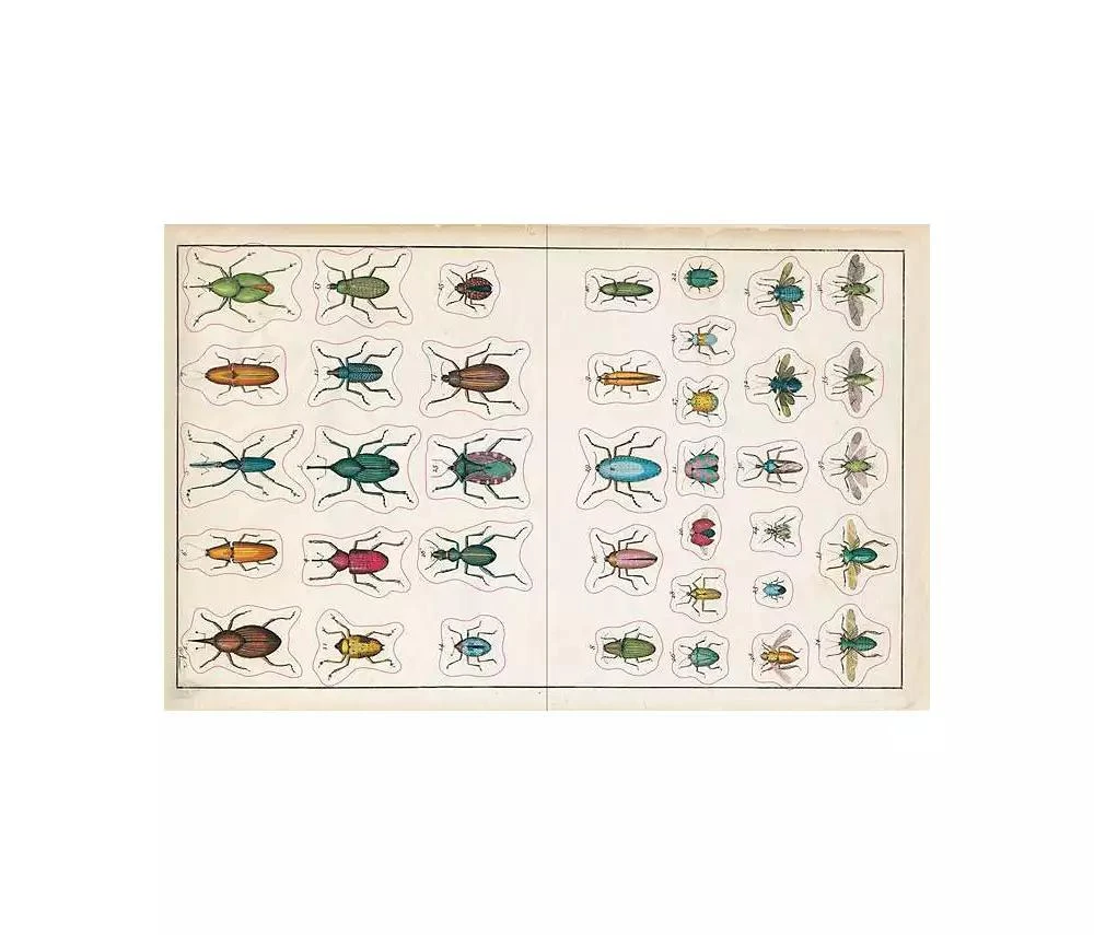 John Derian Sticker Book by John Derian 商品