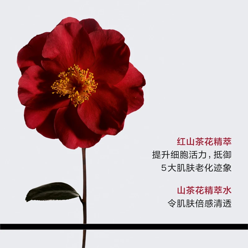Chanel香奈儿 一号红山茶花爽肤水 活肤身体精华喷雾140ml 商品