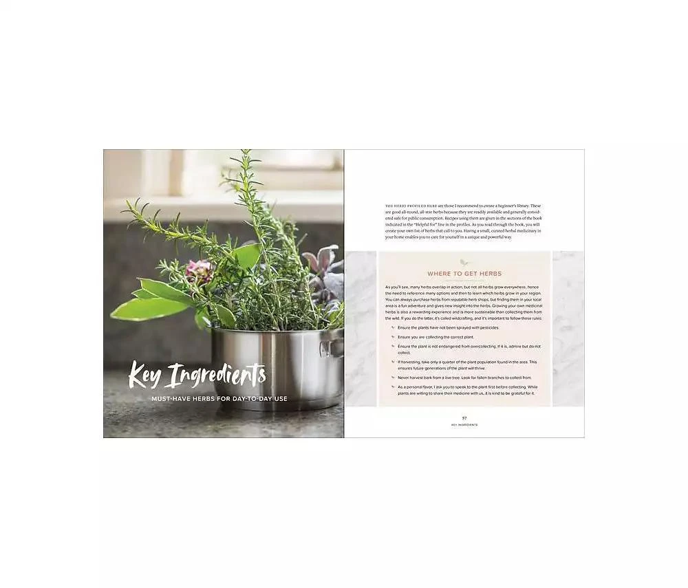Master Recipes From the Herbal Apothecary - 375 Tinctures, Salves, Teas, Capsules, Oils, and Washes For Whole-Body Health and Wellness by Jj Pursell 商品