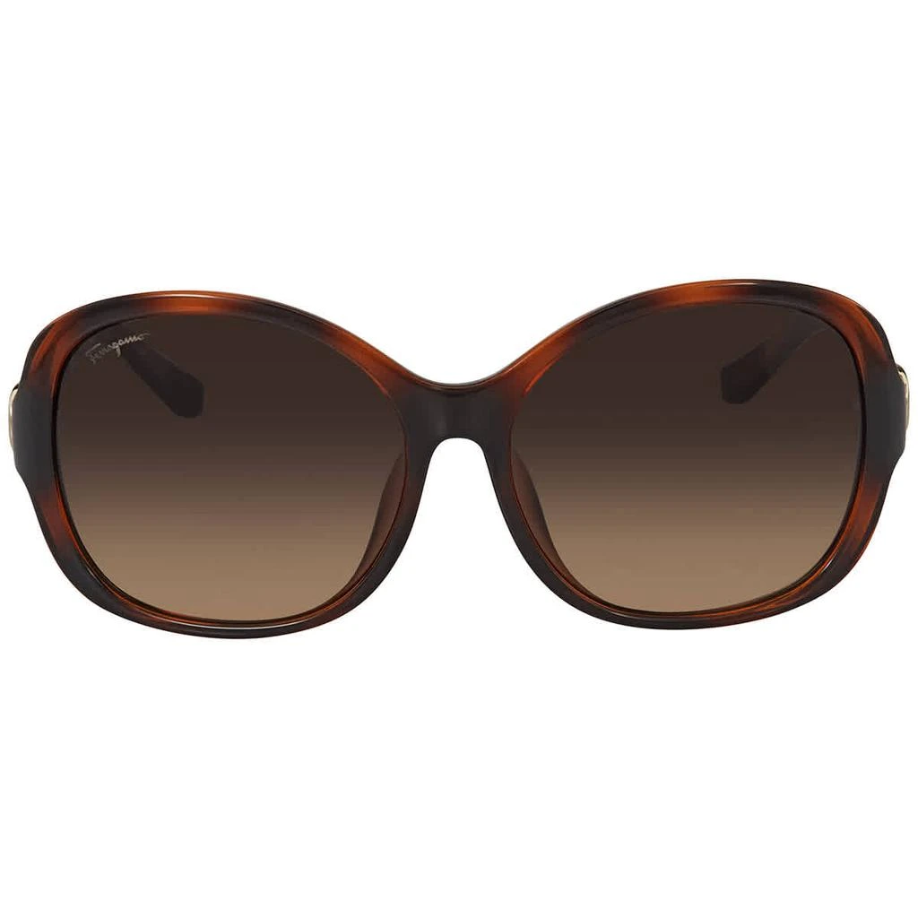 商品Salvatore Ferragamo|Brown Gradient Butterfly Sunglasses SF744SLA 214 59,价格¥442,第2张图片详细描述