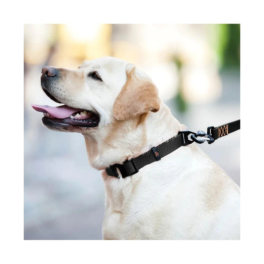 商品Waudog|New Evolutor - The Most Durable Collar For Dog In The World,价格¥335,第3张图片详细描述