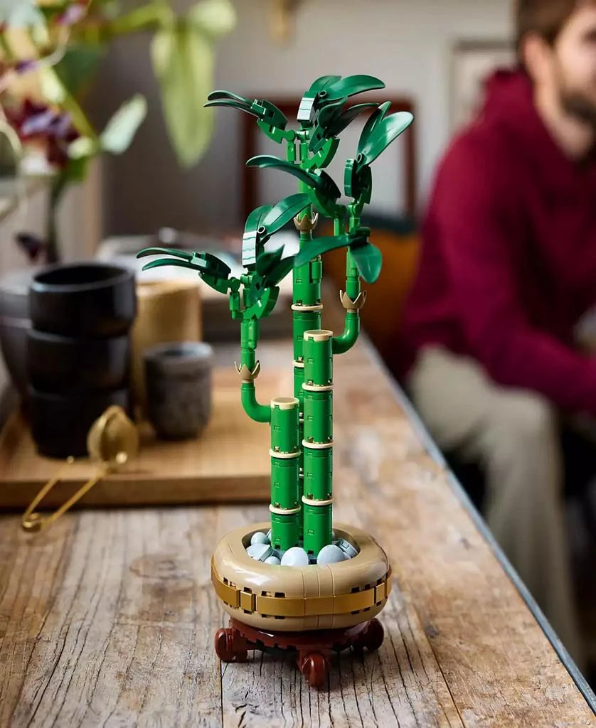 商品LEGO|Botanicals Lucky Bamboo Building Set 10344, 325 Pieces,价格¥189,第4张图片详细描述