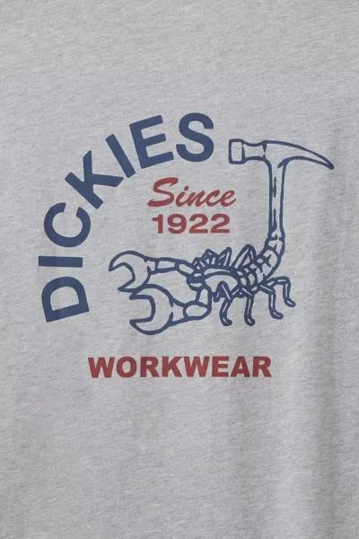 商品DICKIES|Dickies Scorpion Cotton Graphic Tee,价格¥187,第3张图片详细描述