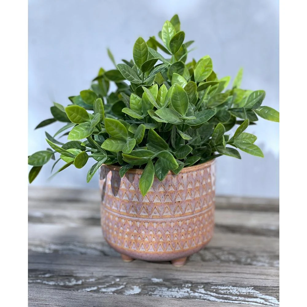 商品Flora Bunda|9.5" Artificial Tea Leaf in 5" Pharaoh Ceramic Footed Pot,价格¥186,第2张图片详细描述