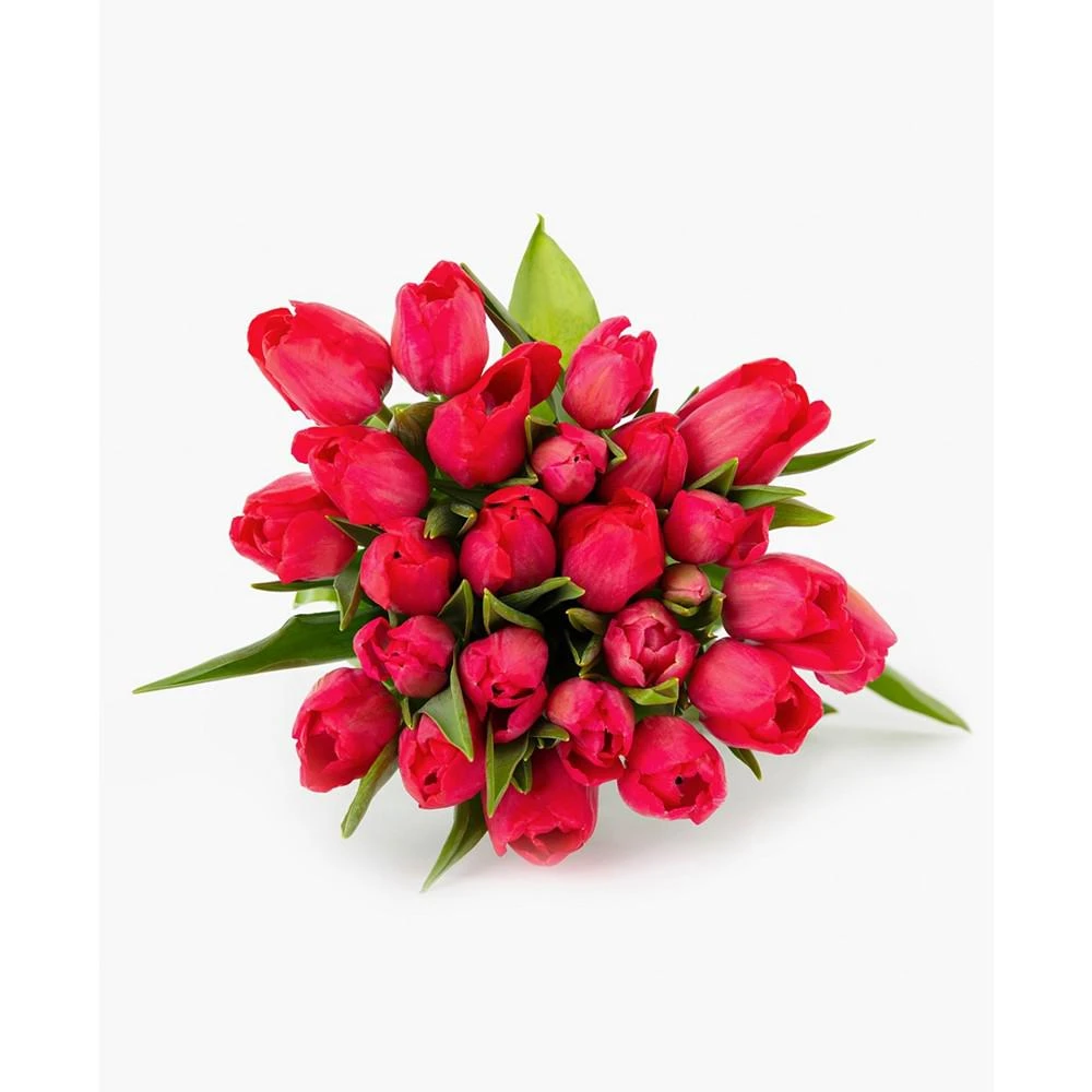 商品BloomsyBox|Radiant Red Tulips Fresh Flower Bouquet,价格¥413,第1张图片