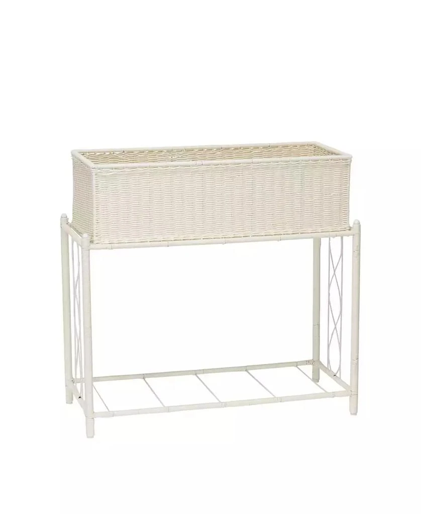 商品Household Essentials|Resin Planter with Tray,价格¥1557,第5张图片详细描述