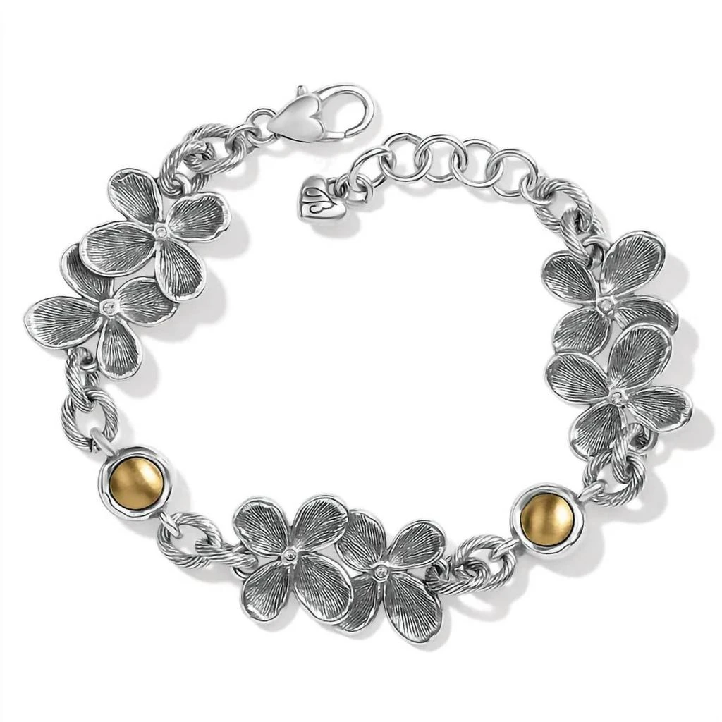 商品Brighton|Brighton - Women's Everbloom Bracelet,价格¥548,第1张图片
