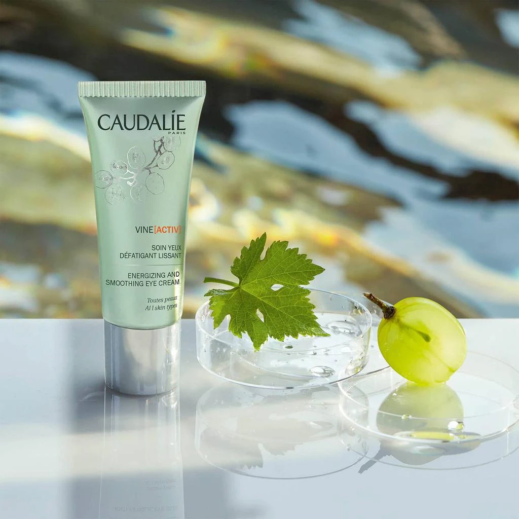 商品Caudalie|Caudalie VineActiv Energizing and Smoothing Eye Cream 0.5oz,价格¥317,第4张图片详细描述