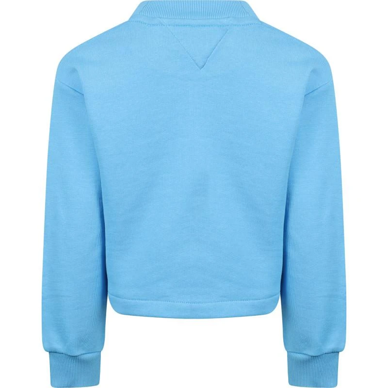 商品Tommy Hilfiger|Organic cotton cropped logo sweatshirt in blue,价格¥655,第2张图片详细描述