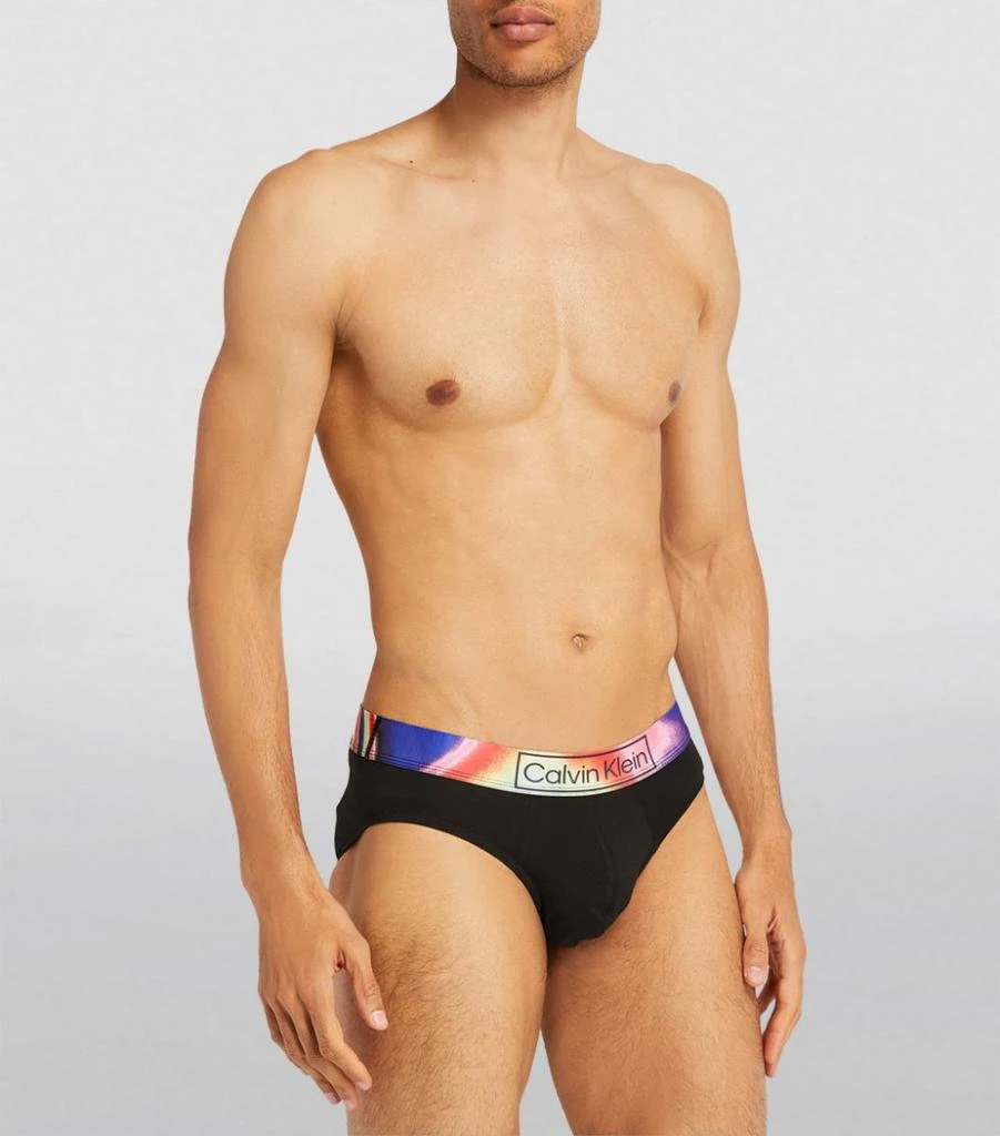商品Calvin Klein|Cotton Stretch Pride Hip Briefs,价格¥111,第2张图片详细描述