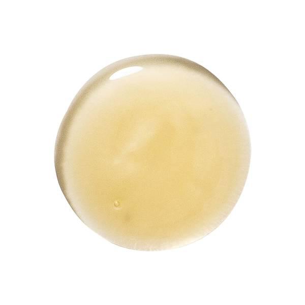 Klorane Mango Shampoo 400ml商品第2张图片规格展示