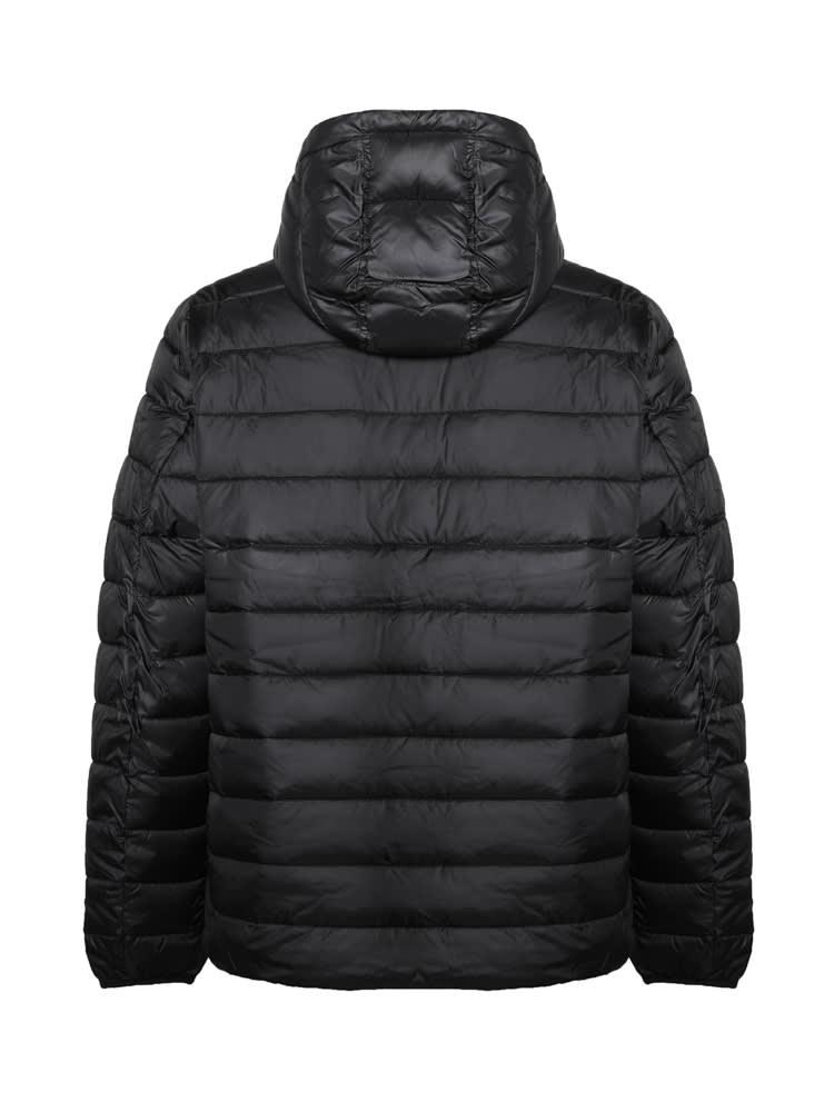 Calvin Klein Down Jacket In Padded Nylon商品第3张图片规格展示