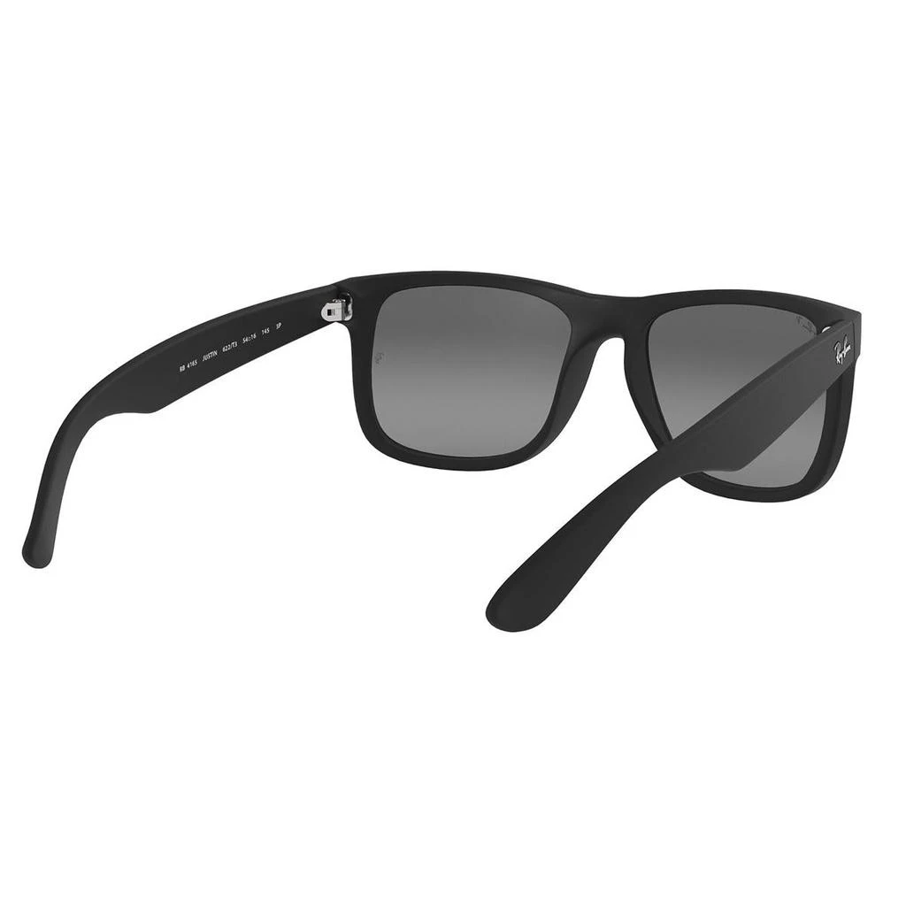 RAY-BAN Sunglasses 商品