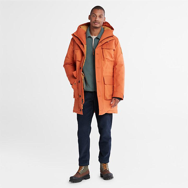 Shop Wilmington Expedition Parka for Men in Orange on Sale at