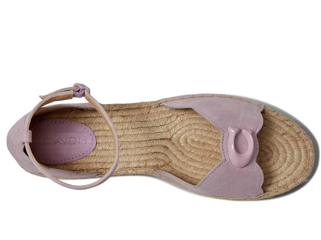 商品Coach|Dillon Suede Espadrille,价格¥601,第2张图片详细描述
