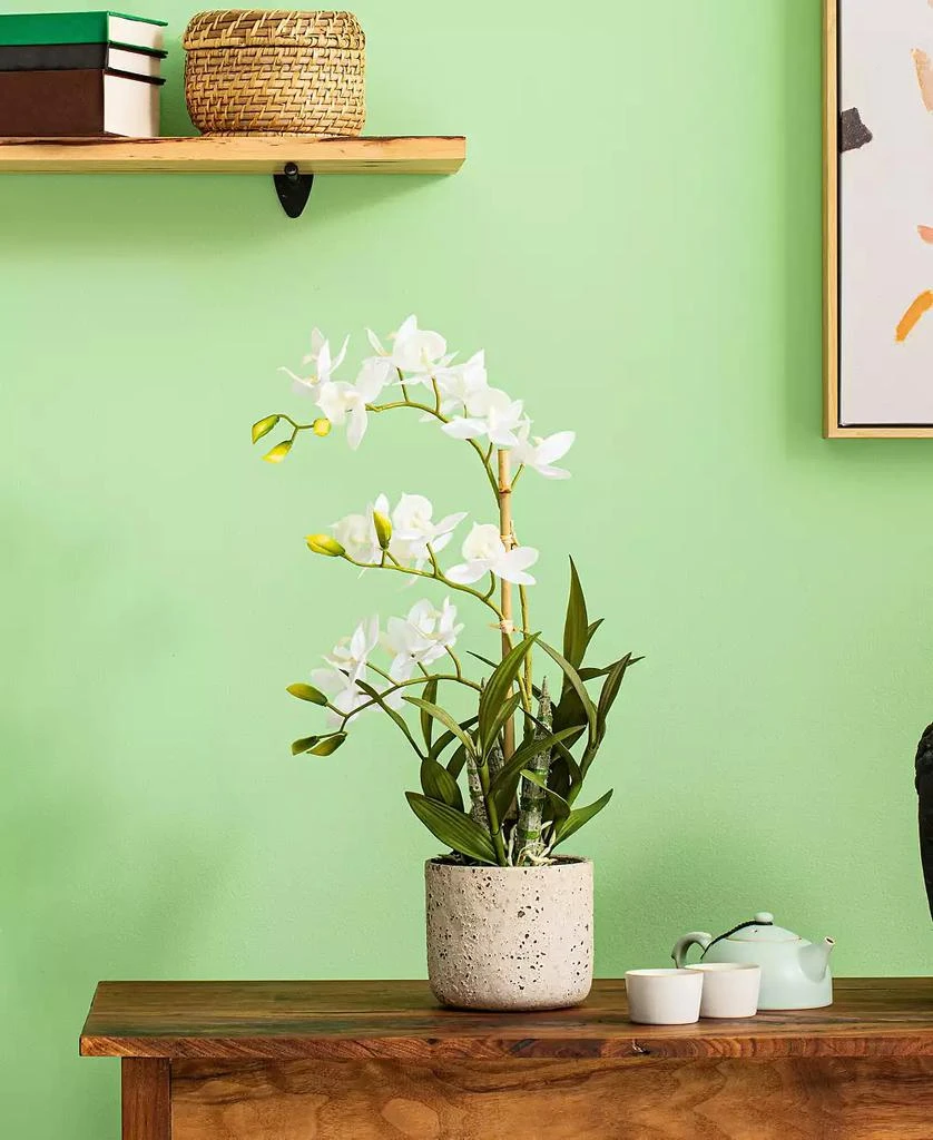 商品Vickerman|19" Artificial White Deluxe Potted Cycnoches Orchid.,价格¥563,第5张图片详细描述