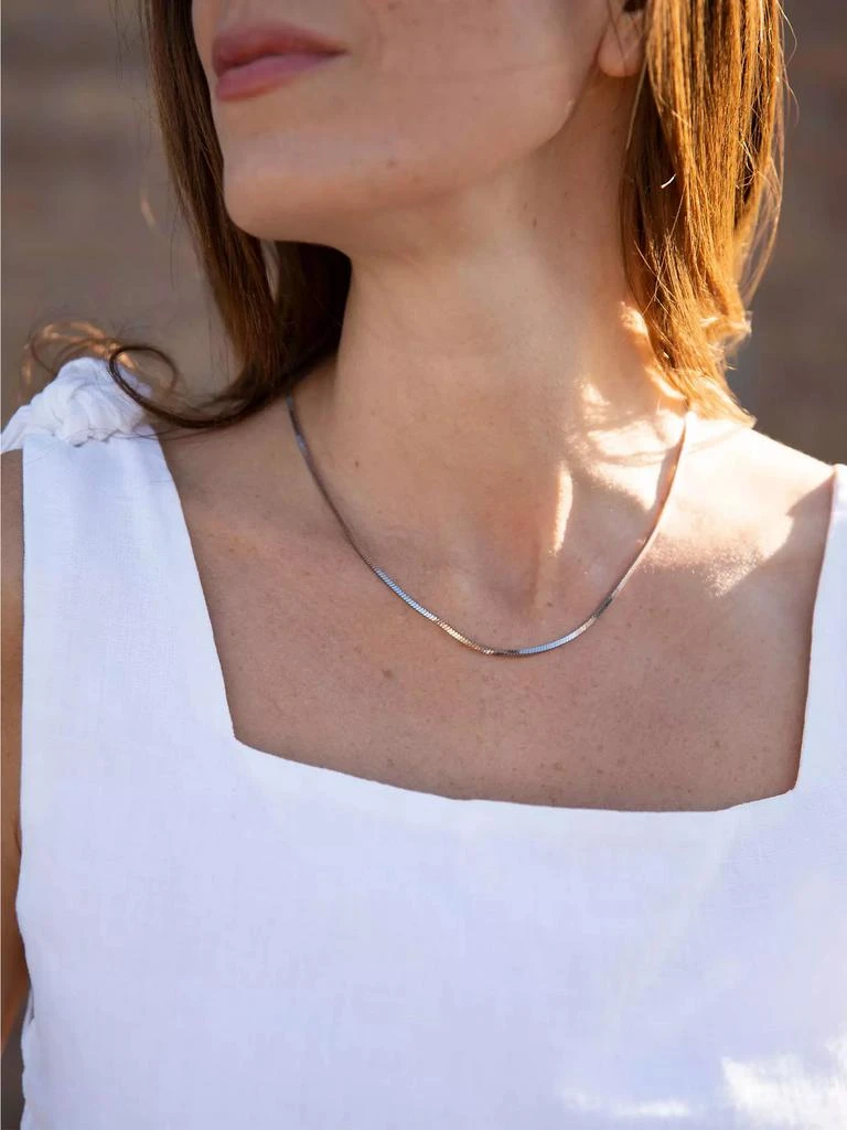 Snake Chain Necklace 商品