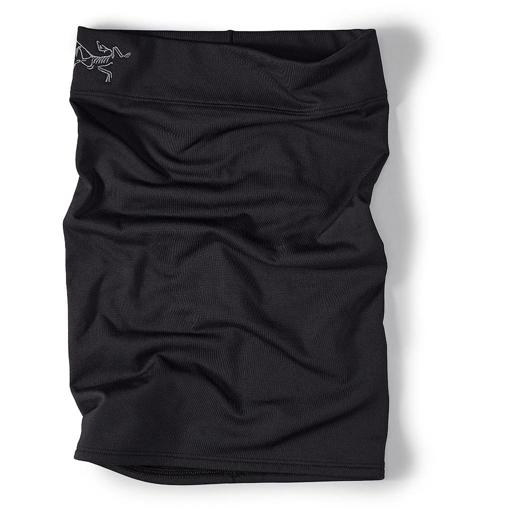 商品Arc'teryx|Arc'teryx Rho Neck Gaiter Long | Versatile Warm Microfleece Neck Gaiter,价格¥340,第1张图片