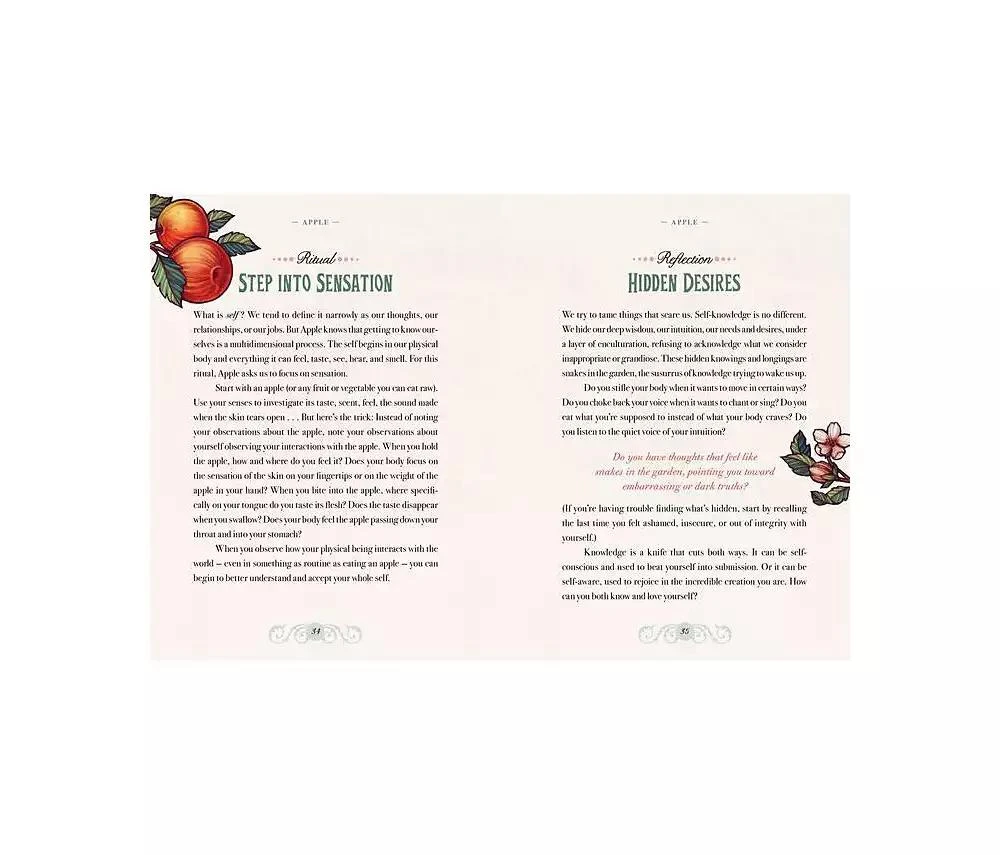 The Illustrated Herbiary - Guidance and Rituals from 36 Bewitching Botanicals by Maia Toll 商品