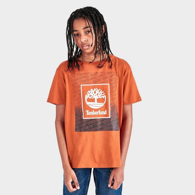 Boys' Timberland Box Logo T-Shirt商品第1张图片规格展示