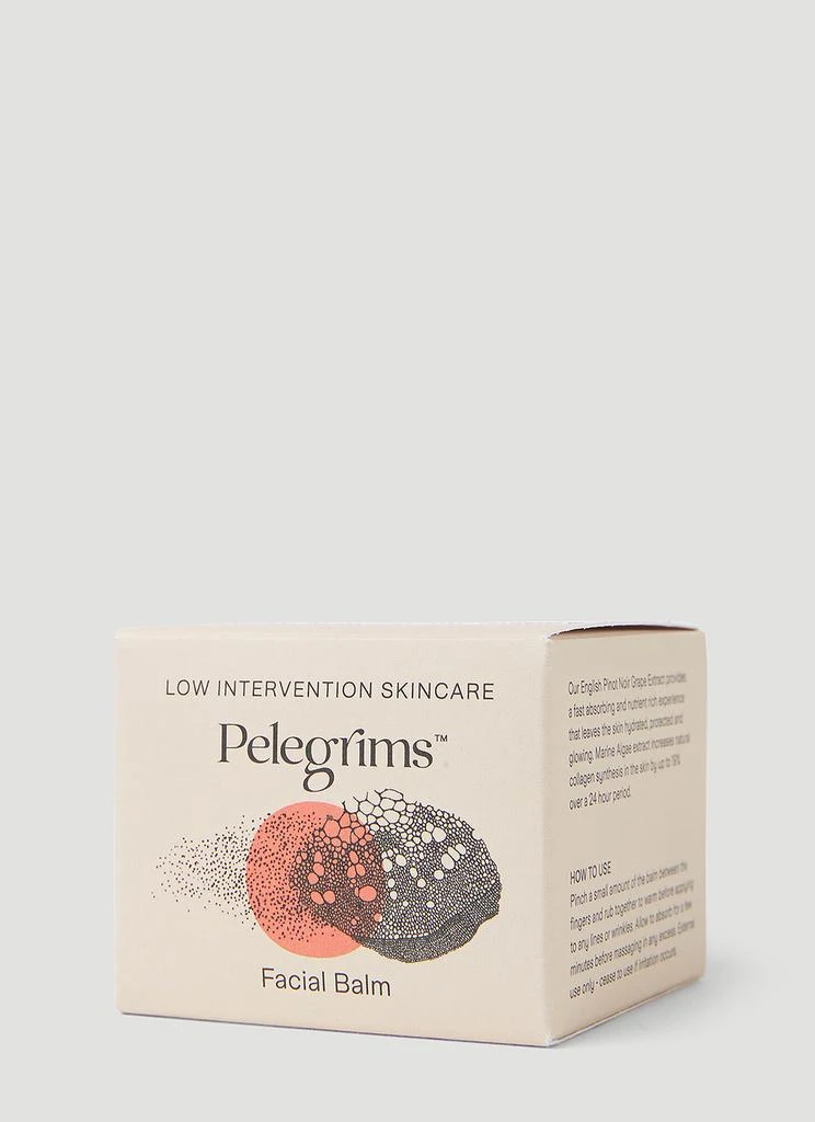 商品Pelegrims|Facial Balm,价格¥681,第5张图片详细描述