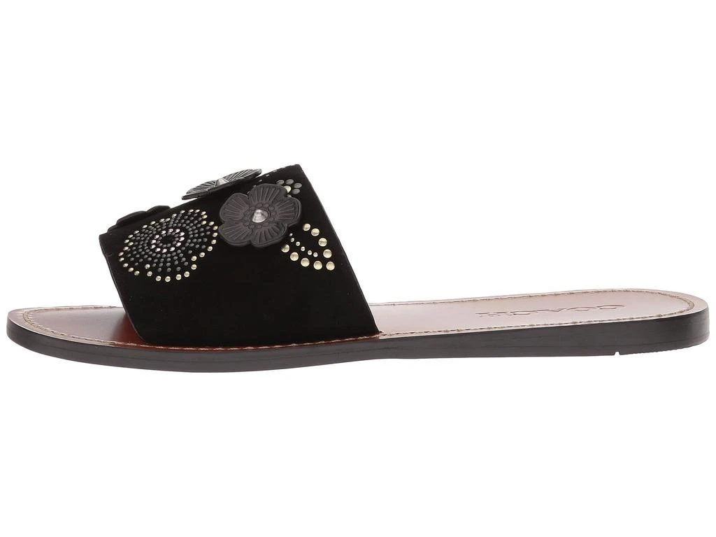 商品Coach|Tea Rose Rivet Slide,价格¥800,第4张图片详细描述