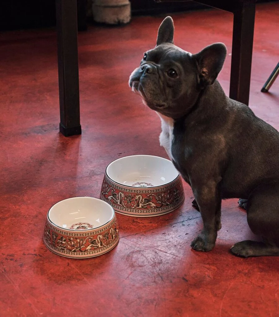 商品Wedgwood|Bone China Florentine Pet Bowl (17cm),价格¥1375,第3张图片详细描述