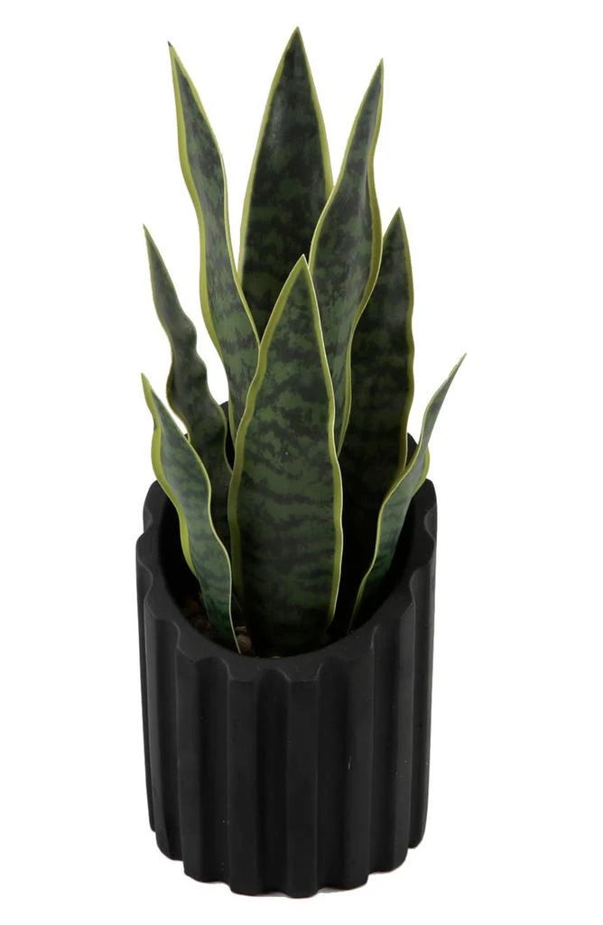 商品FLORA BUNDA|Snake Plant in Cement Planter,价格¥393,第1张图片