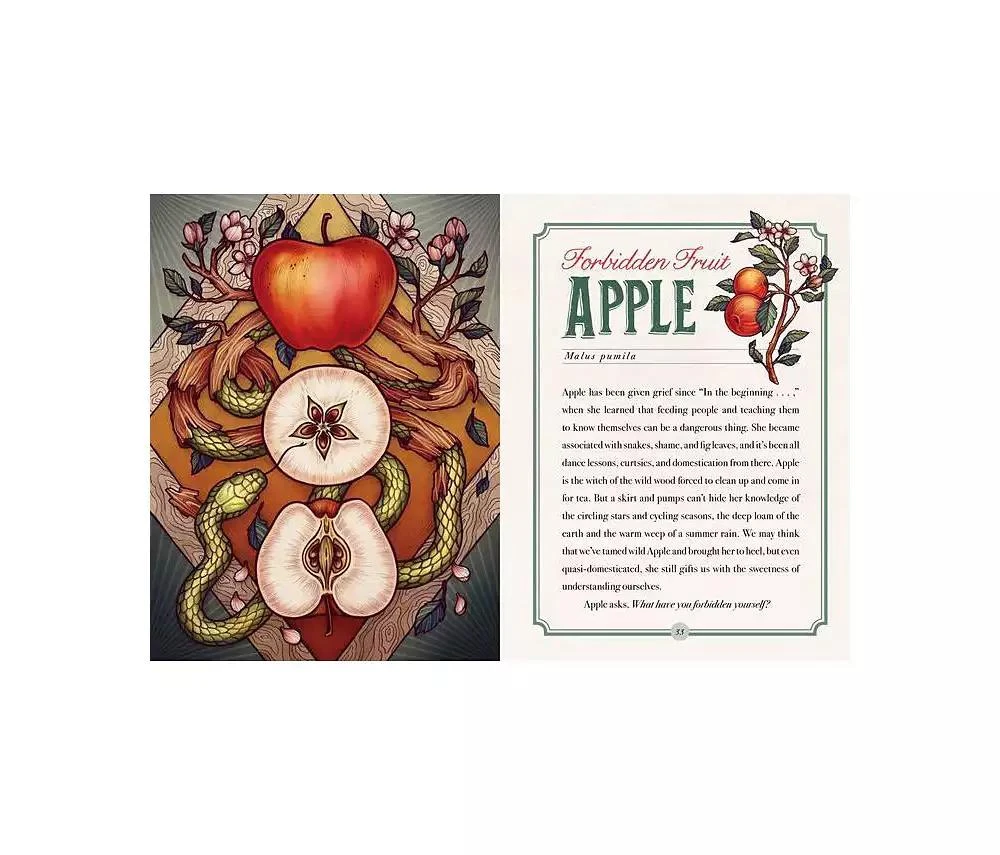 商品Barnes & Noble|The Illustrated Herbiary - Guidance and Rituals from 36 Bewitching Botanicals by Maia Toll,价格¥148,第2张图片详细描述