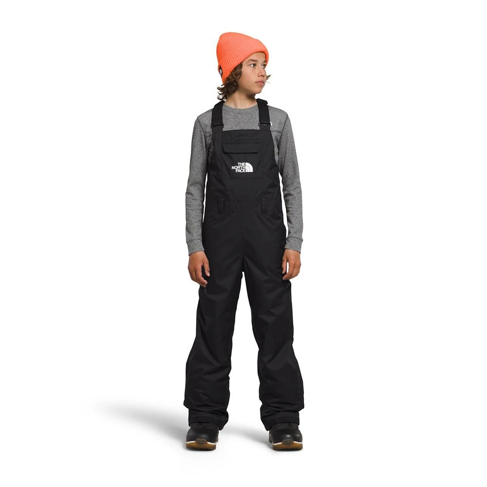 商品The North Face|Big Boys Heavyweight Freedom Insulated Ski Bib,价格¥228,第1张图片