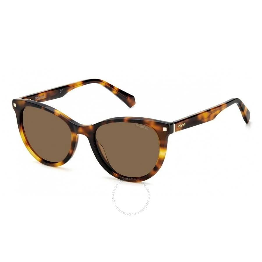 商品Polaroid|Copper Cat Eye Ladies Sunglasses PLD 4111/S/X 0086/HE 53,价格¥149,第1张图片