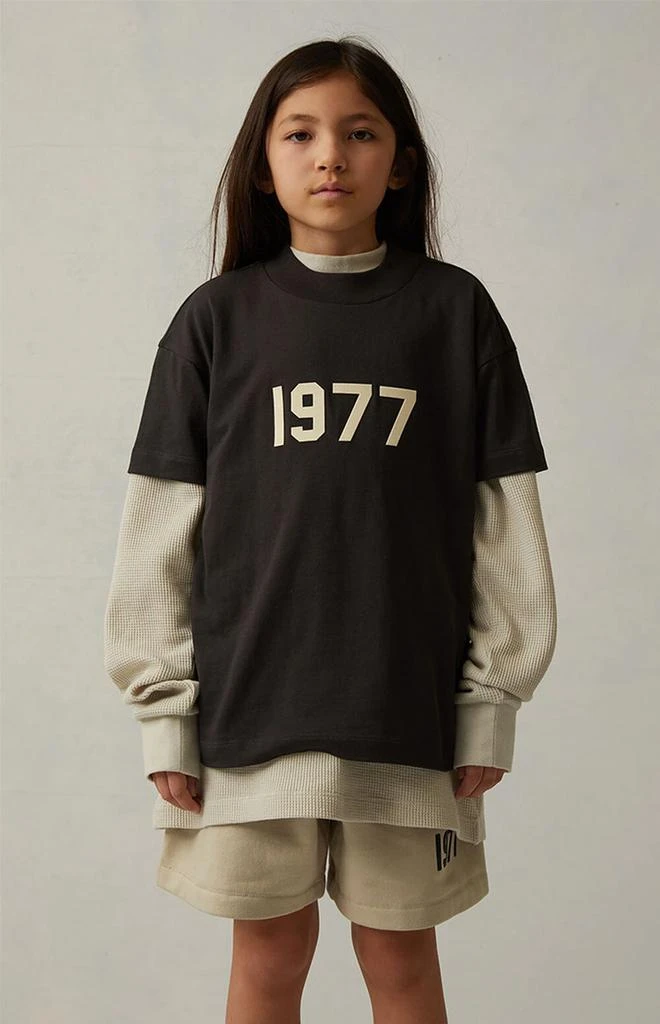 商品Essentials|Iron T-Shirt,价格¥247,第2张图片详细描述
