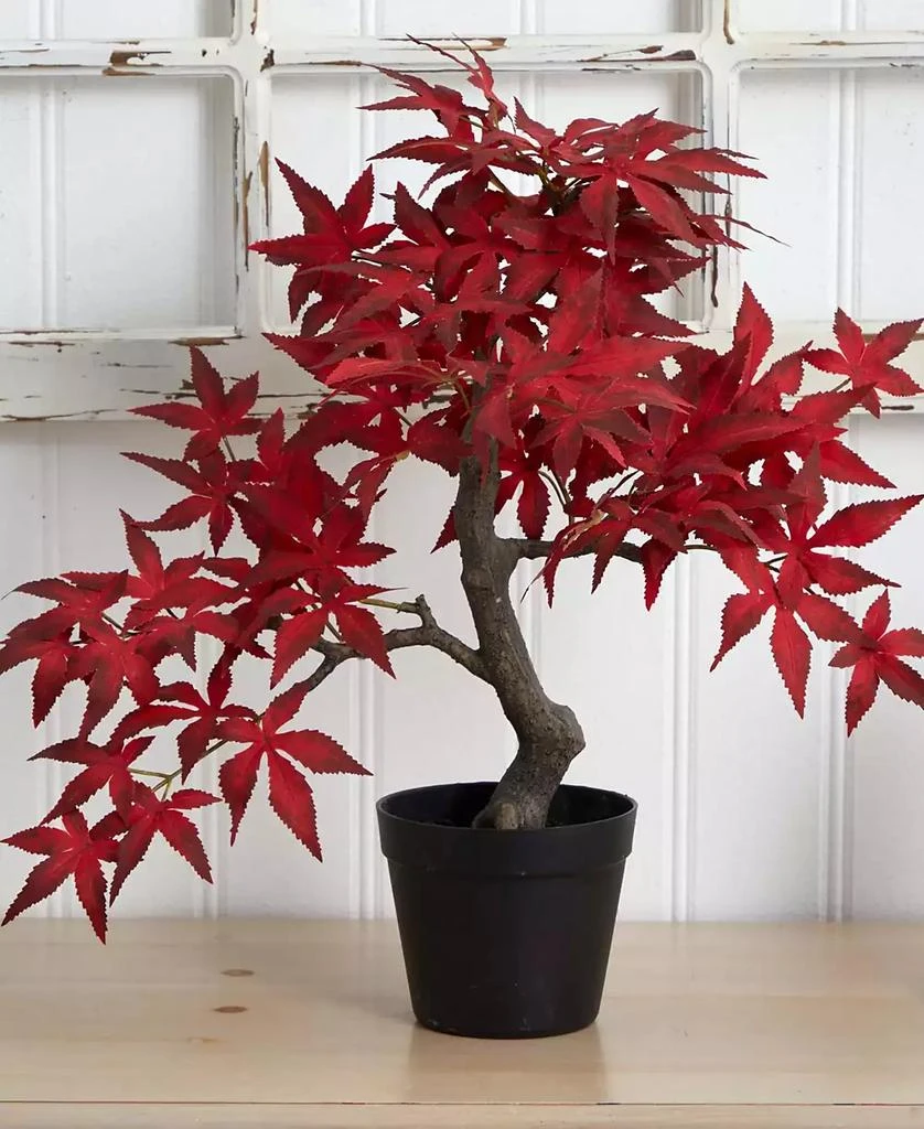 商品NEARLY NATURAL|Autumn Maple Bonsai, 20",价格¥464,第4张图片详细描述
