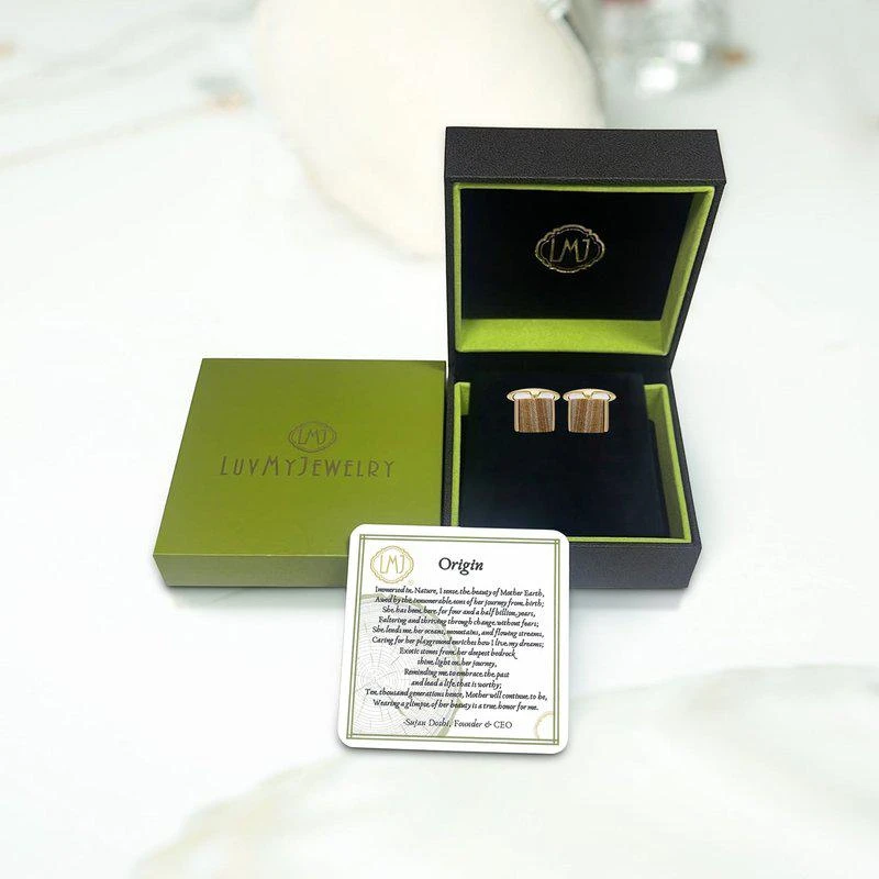 商品LuvMyJewelry|Wood Jasper Stone Cufflinks in 14K Yellow Gold Plated Sterling Silver,价格¥2031,第2张图片详细描述