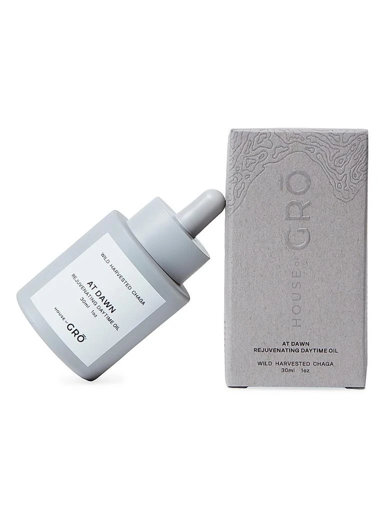 商品House of GRO|AT DAWN Rejuvenating Daytime Oil,价格¥946,第2张图片详细描述