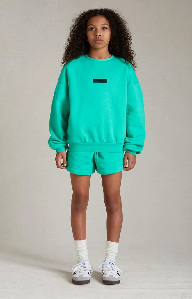 商品Essentials|Essentials Mint Leaf Crew Neck Sweatshirt,价格¥251,第5张图片详细描述