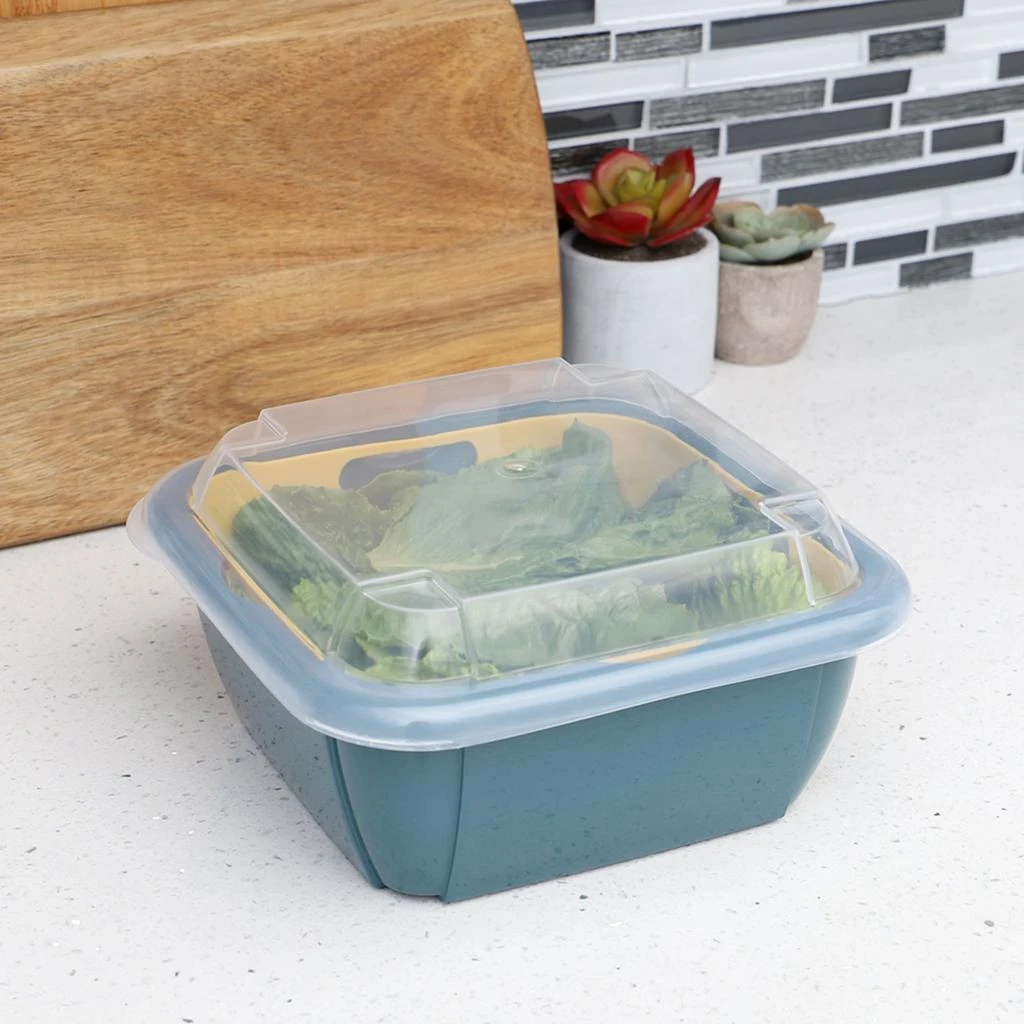 商品Home Basics|Home Basics Plastic Container with Strainer Basket and Clear Lid, Multi-Color,价格¥107,第2张图片详细描述