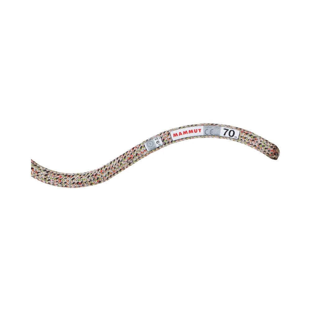 商品Mammut|MAMMUT - 9.5 CRAG WE CARE CLASSIC - 70 M - Standard Assorted,价格¥933,第1张图片