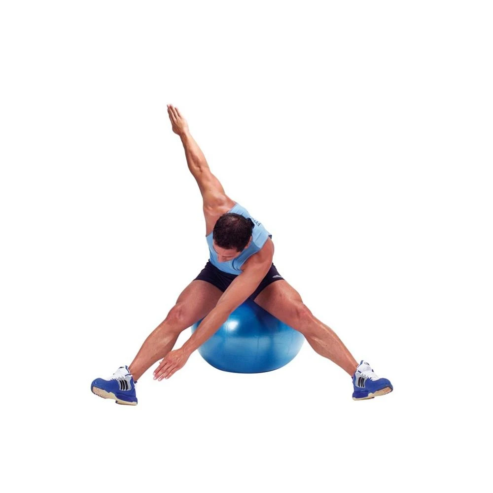 商品Gymnic|Exercise Ball Plus 65,价格¥484,第3张图片详细描述