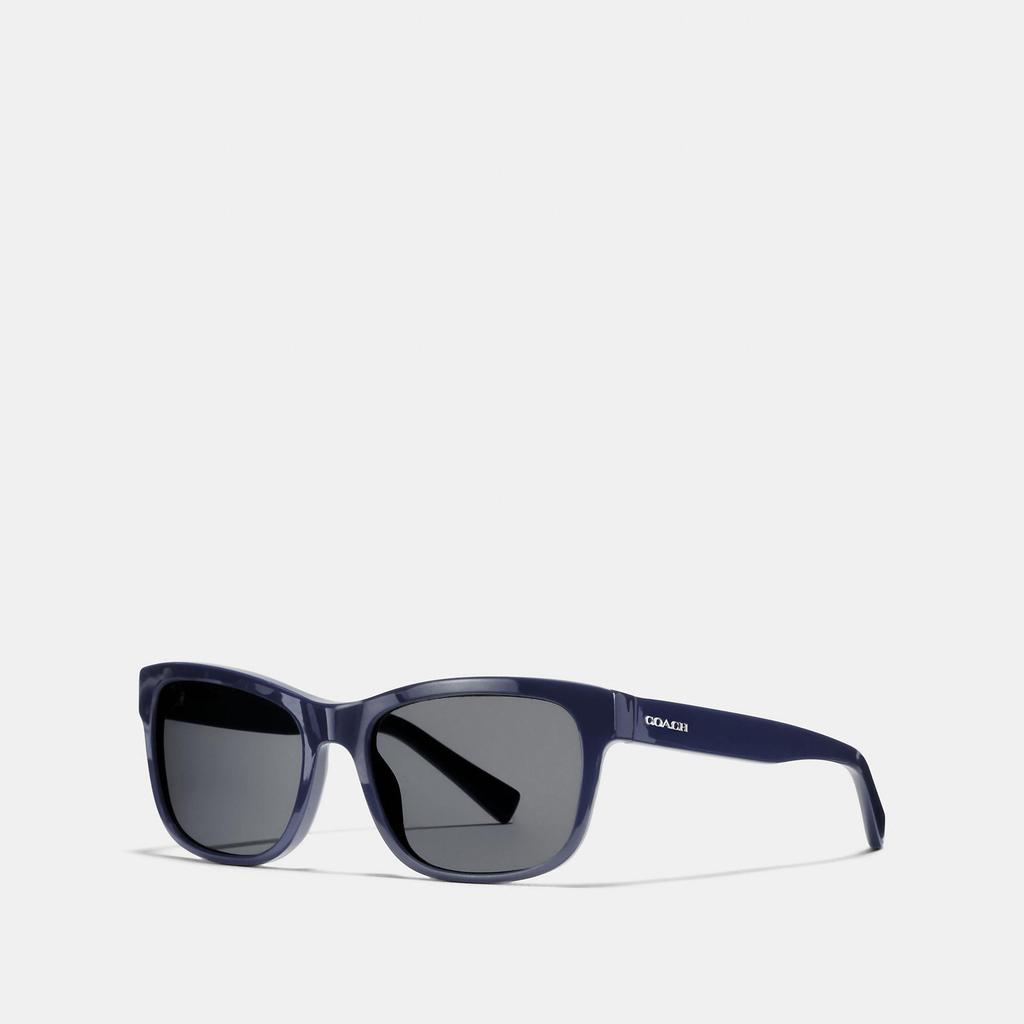 Coach Outlet Hudson Rectangle Sunglasses商品第2张图片规格展示
