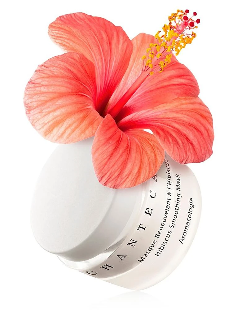 商品Chantecaille|Hibiscus Smoothing Mask,价格¥667,第2张图片详细描述