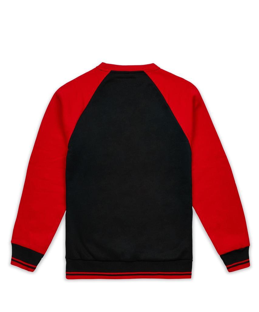 商品Reason Clothing|Nash Fleece Colorblocked Crewneck - Red,价格¥289,第6张图片详细描述