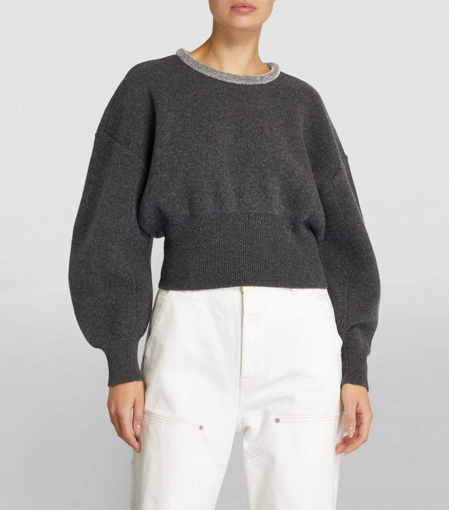 商品Alexander Wang|Crystal-Trim Sweater,价格¥8249,第3张图片详细描述