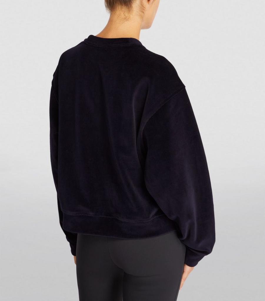 商品Alexander Wang|Velour Logo Sweatshirt,价格¥2850,第6张图片详细描述