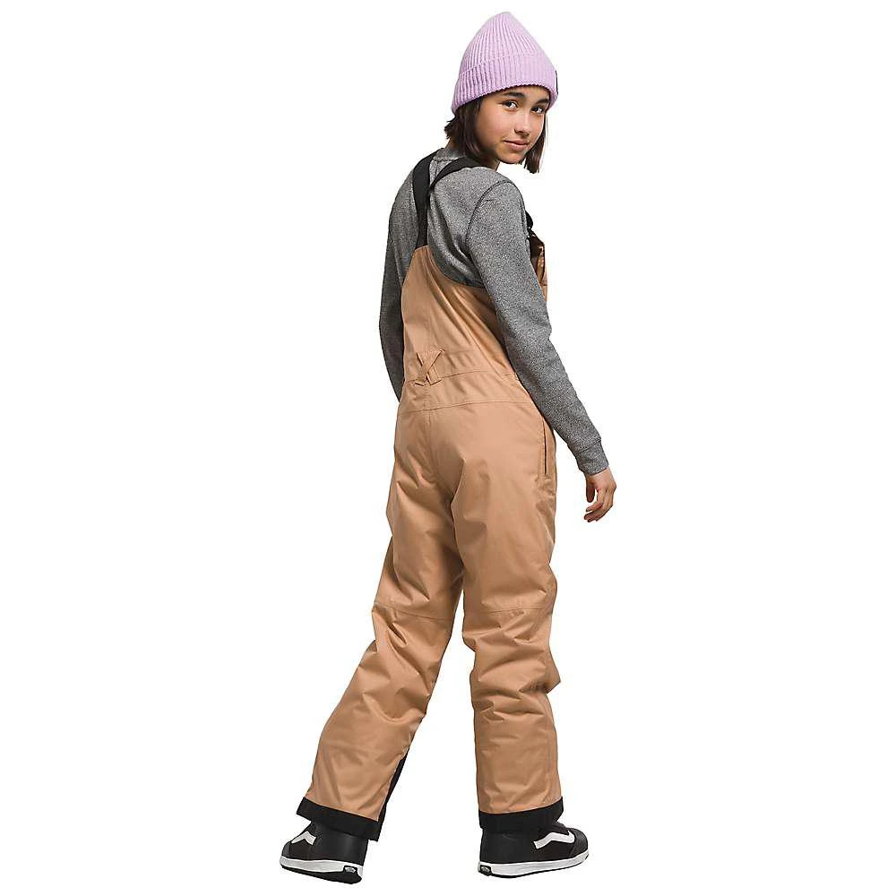 商品The North Face|The North Face Kids' Freedom Insulated Bib Pant,价格¥1242,第3张图片详细描述