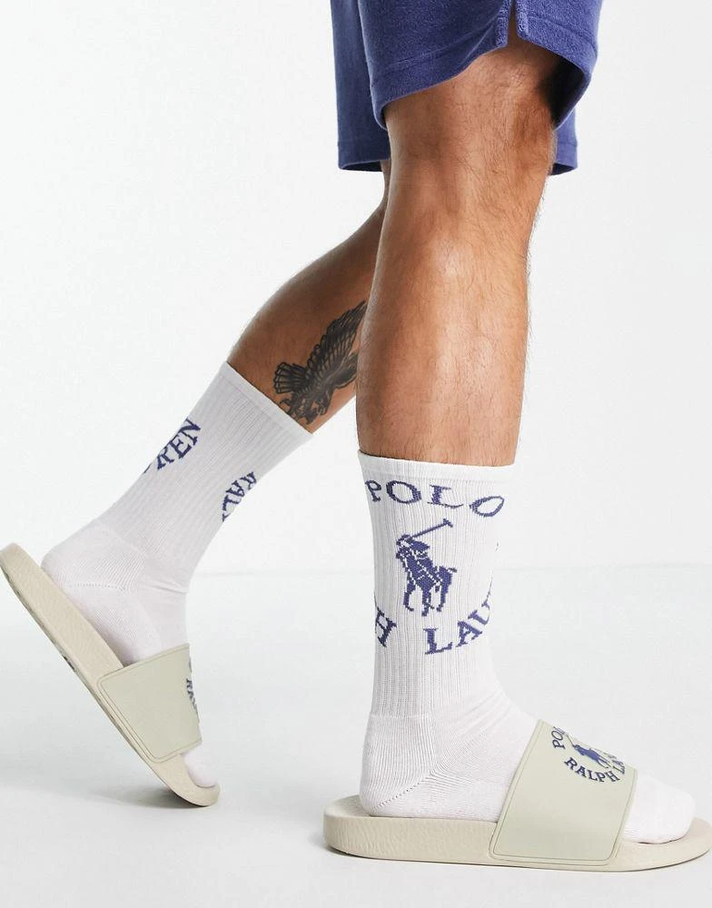 商品Ralph Lauren|Polo Ralph Lauren x ASOS exclusive collab 6 pack sport socks in navy, cream, purple, green with circle logo,价格¥257,第3张图片详细描述